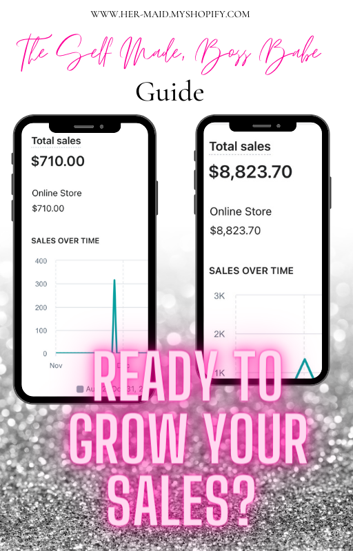 Boss Babe Guide ( Business 101 Ebook)